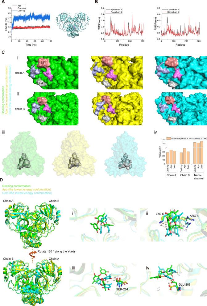 https://cdn.ncbi.nlm.nih.gov/pmc/blobs/4cb7/11699025/e3098c70244e/13659_2024_486_Fig3_HTML.jpg