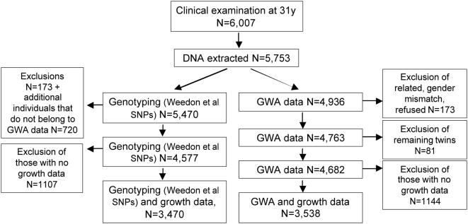 https://cdn.ncbi.nlm.nih.gov/pmc/blobs/4cb7/2646138/4ed96007884a/pgen.1000409.g002.jpg