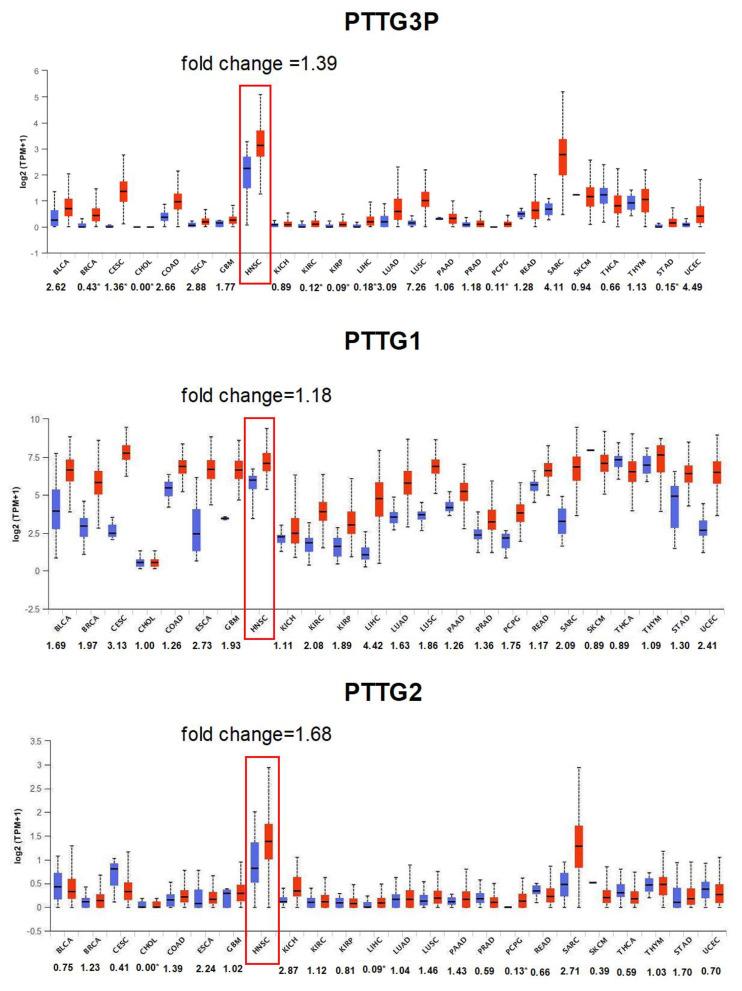 https://cdn.ncbi.nlm.nih.gov/pmc/blobs/4cba/7459614/328080f44abf/diagnostics-10-00606-g001.jpg