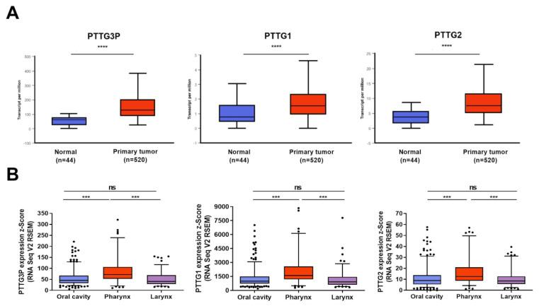 https://cdn.ncbi.nlm.nih.gov/pmc/blobs/4cba/7459614/7cfd440d9d07/diagnostics-10-00606-g002.jpg