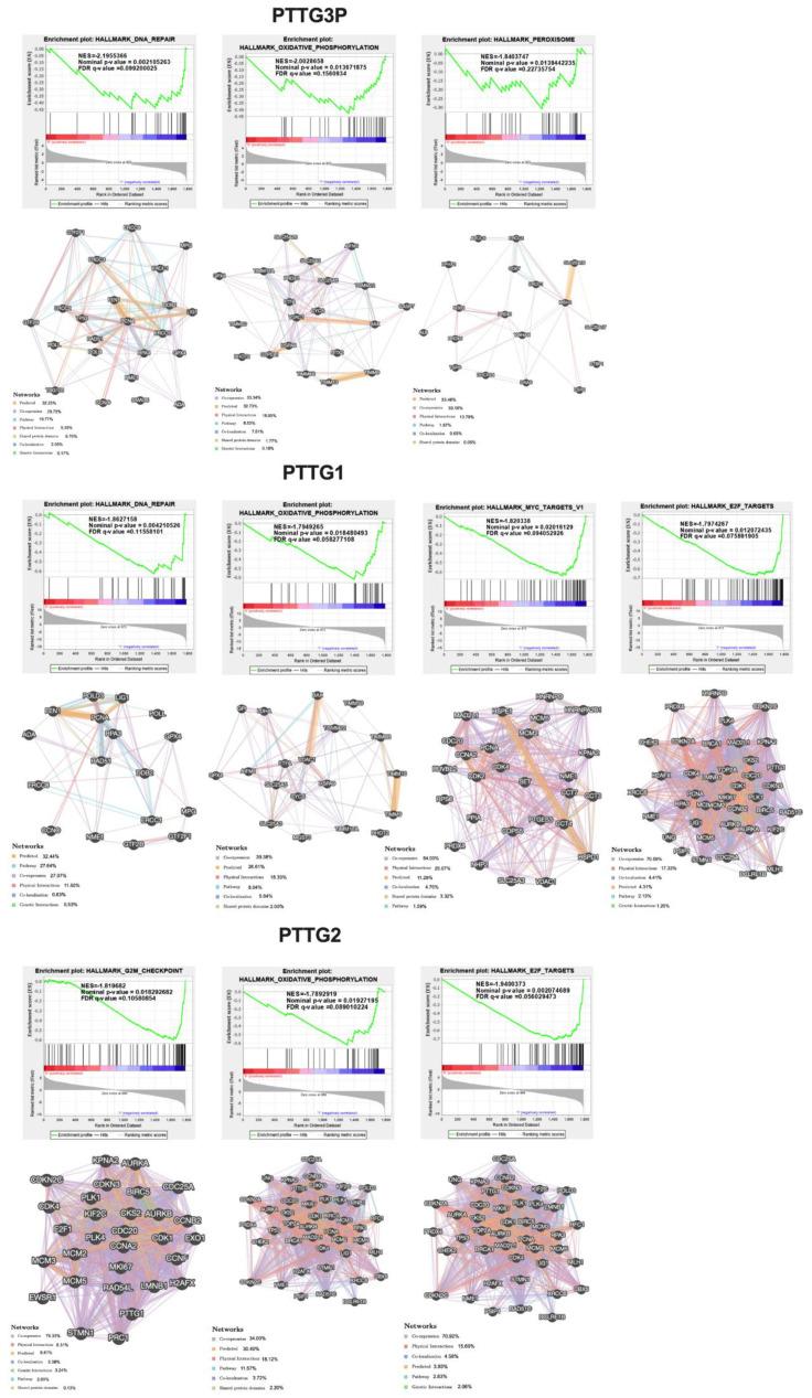 https://cdn.ncbi.nlm.nih.gov/pmc/blobs/4cba/7459614/f507be3e931b/diagnostics-10-00606-g008.jpg