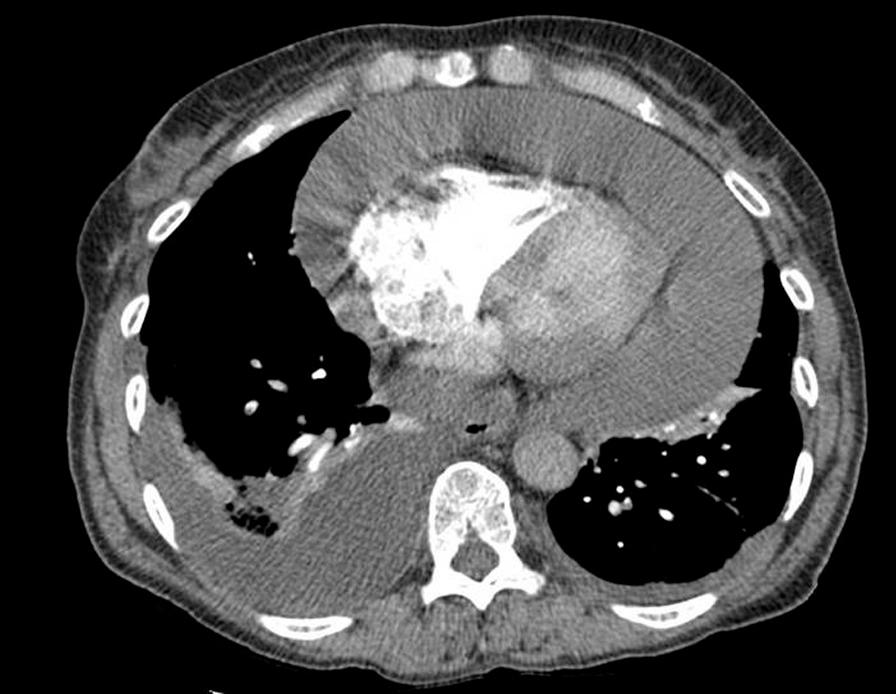 https://cdn.ncbi.nlm.nih.gov/pmc/blobs/4cbc/9635214/93449bfb79e2/13256_2022_3593_Fig1_HTML.jpg
