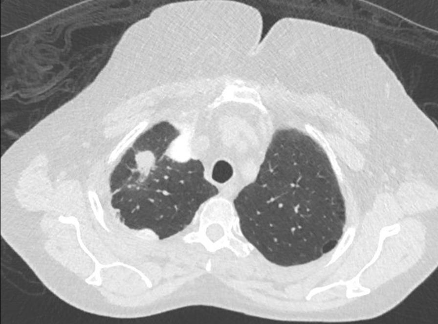 https://cdn.ncbi.nlm.nih.gov/pmc/blobs/4cbc/9635214/bbc7bebe0ae9/13256_2022_3593_Fig3_HTML.jpg