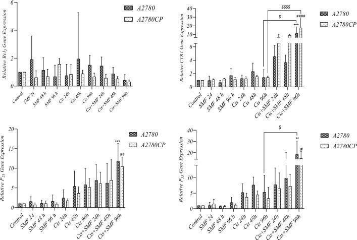 https://cdn.ncbi.nlm.nih.gov/pmc/blobs/4cbd/10924938/848fedfd157a/41598_2024_56605_Fig10_HTML.jpg