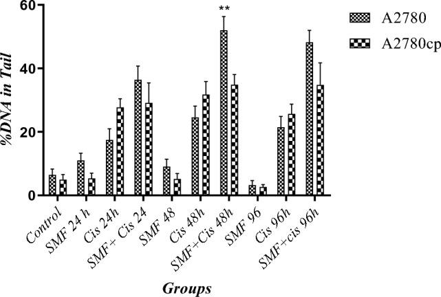 https://cdn.ncbi.nlm.nih.gov/pmc/blobs/4cbd/10924938/a49b7ebc2c3a/41598_2024_56605_Fig5_HTML.jpg