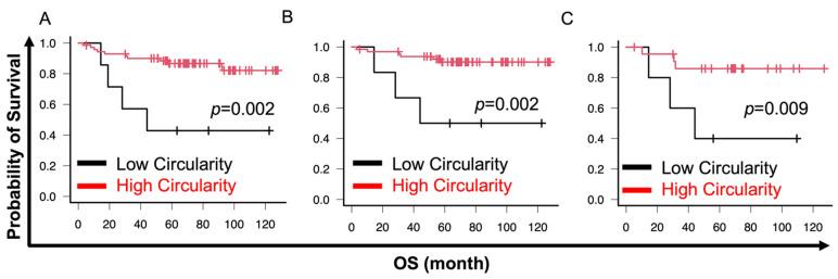 https://cdn.ncbi.nlm.nih.gov/pmc/blobs/4cbd/11240598/d668230281ca/cancers-16-02469-g005.jpg