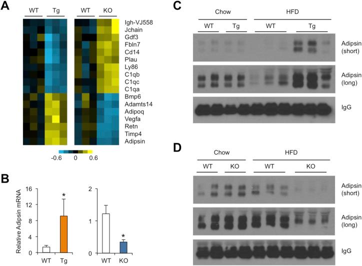https://cdn.ncbi.nlm.nih.gov/pmc/blobs/4cbd/5518721/2bfd561120a8/gr7.jpg