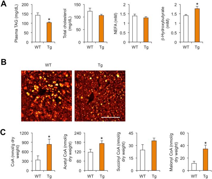 https://cdn.ncbi.nlm.nih.gov/pmc/blobs/4cbd/5518721/7ce19922c2ac/gr4.jpg