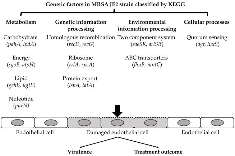 https://cdn.ncbi.nlm.nih.gov/pmc/blobs/4cbd/8944730/dd0ba6bc62f8/antibiotics-11-00316-g003.jpg