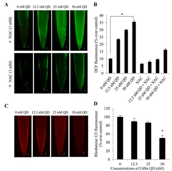 https://cdn.ncbi.nlm.nih.gov/pmc/blobs/4cbe/12065100/0212f4a078b7/GCH2-9-2400294-g016.jpg