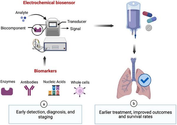 https://cdn.ncbi.nlm.nih.gov/pmc/blobs/4cbe/12065100/3024152b1595/GCH2-9-2400294-g020.jpg