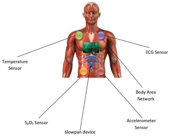 https://cdn.ncbi.nlm.nih.gov/pmc/blobs/4cbe/12065100/742f196377ab/GCH2-9-2400294-g021.jpg
