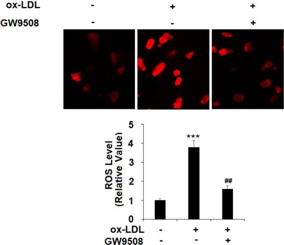 https://cdn.ncbi.nlm.nih.gov/pmc/blobs/4cbe/7758881/c601e1f3f4a3/ao0c03581_0007.jpg