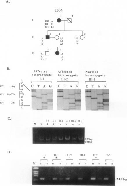 https://cdn.ncbi.nlm.nih.gov/pmc/blobs/4cbf/1918158/01ce8ddf5624/ajhg00047-0028-a.jpg