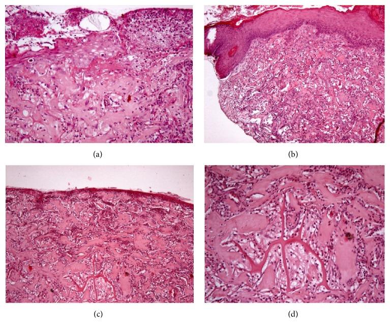 https://cdn.ncbi.nlm.nih.gov/pmc/blobs/4cc0/4663323/87946cc150c7/BMRI2015-698385.009.jpg