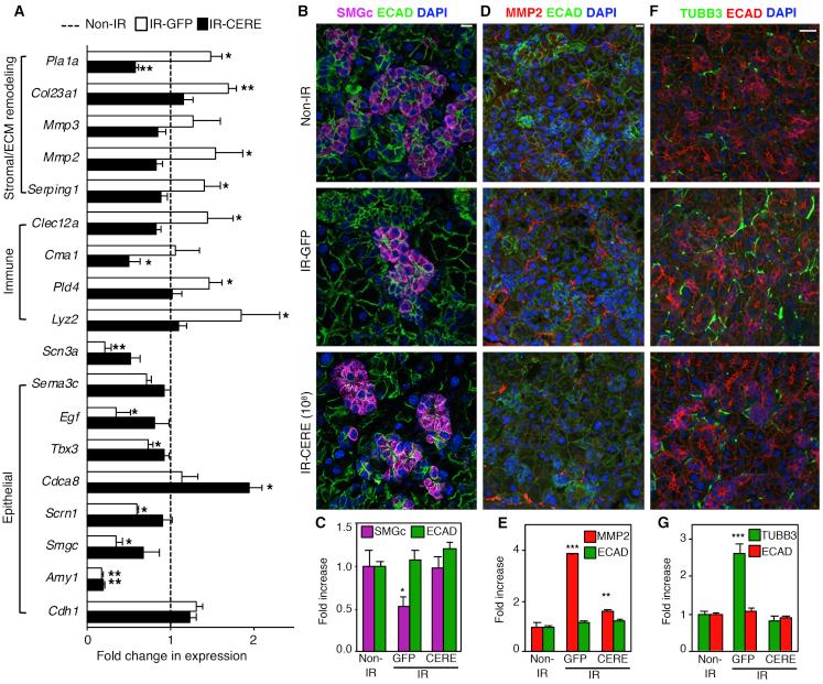 https://cdn.ncbi.nlm.nih.gov/pmc/blobs/4cc1/7479444/2717e25e664f/gr3.jpg