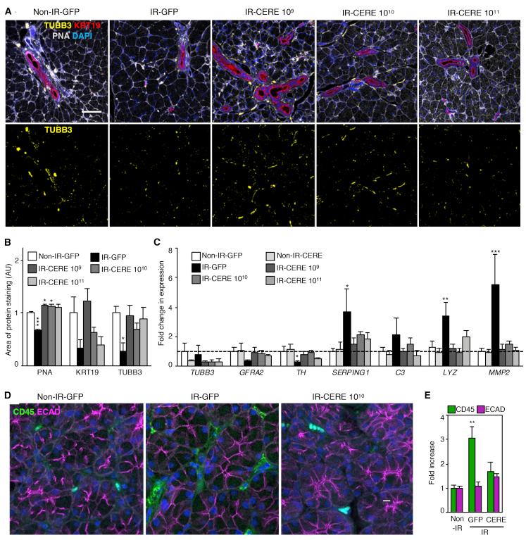 https://cdn.ncbi.nlm.nih.gov/pmc/blobs/4cc1/7479444/45a7a3bd3fef/gr6.jpg
