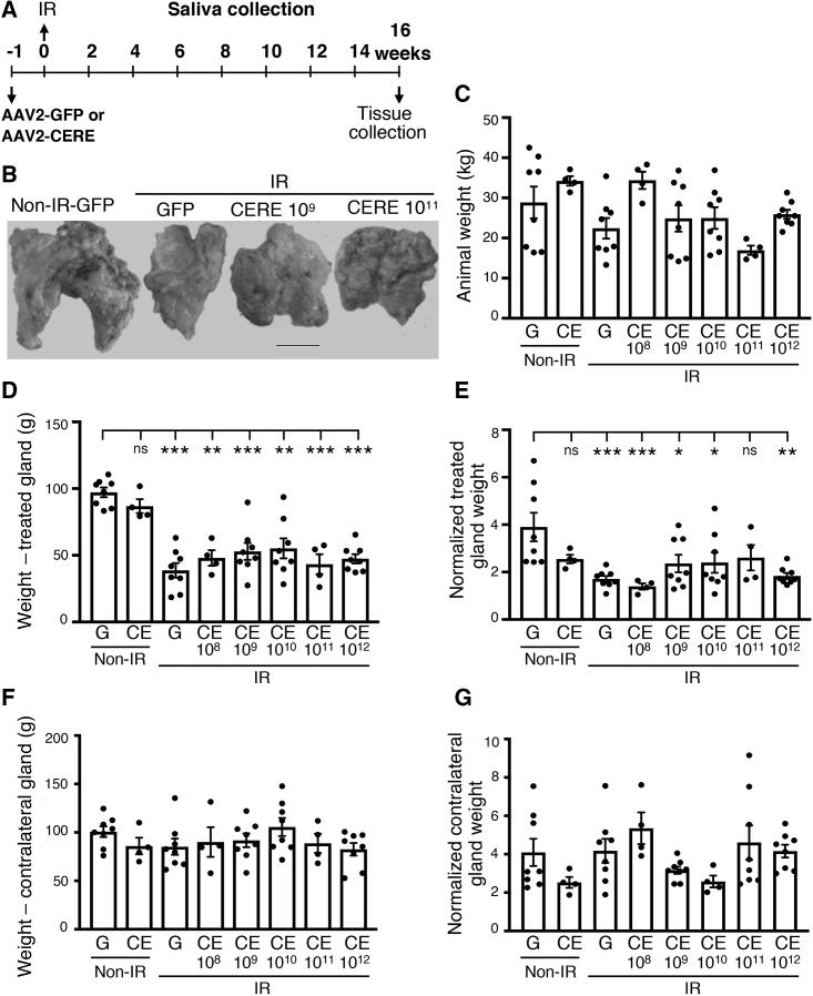 https://cdn.ncbi.nlm.nih.gov/pmc/blobs/4cc1/7479444/92264bae09bb/gr4.jpg