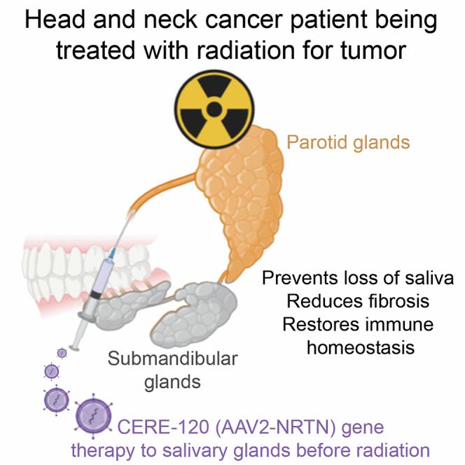 https://cdn.ncbi.nlm.nih.gov/pmc/blobs/4cc1/7479444/c740f0daba00/fx1.jpg
