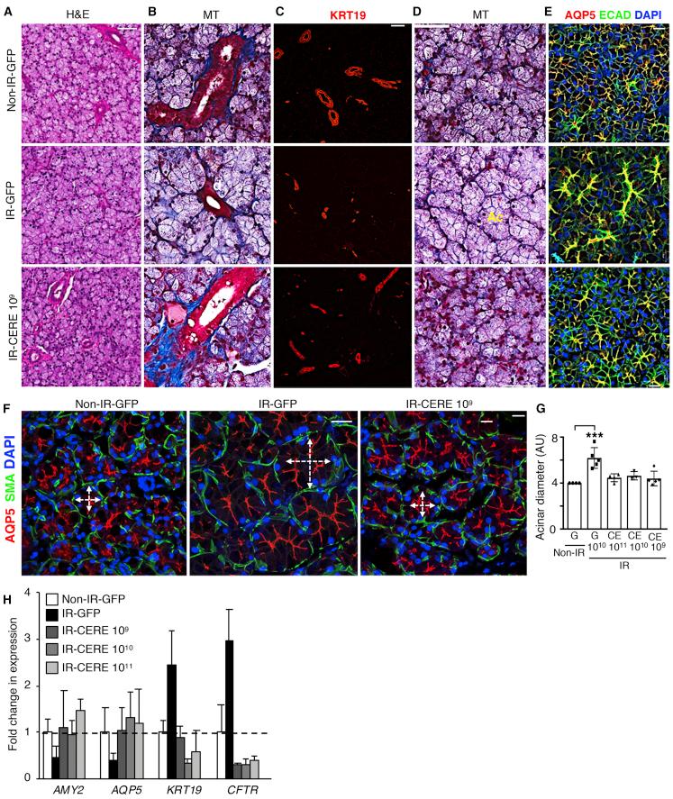 https://cdn.ncbi.nlm.nih.gov/pmc/blobs/4cc1/7479444/c7cffc50a37a/gr5.jpg