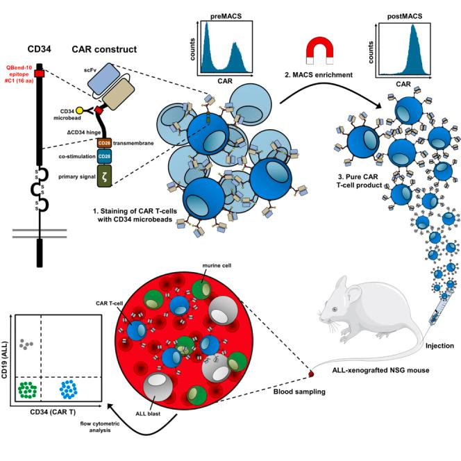 https://cdn.ncbi.nlm.nih.gov/pmc/blobs/4cc2/8640169/4aea6e1e1a19/fx1.jpg