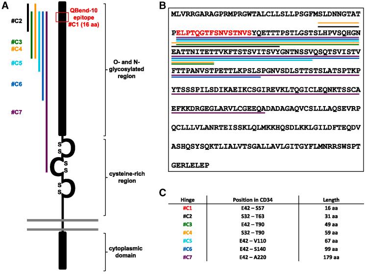 https://cdn.ncbi.nlm.nih.gov/pmc/blobs/4cc2/8640169/e4ad636daa7f/gr1.jpg
