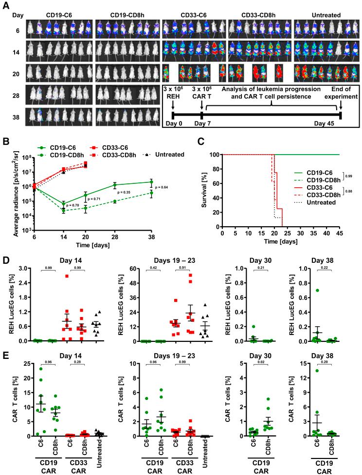 https://cdn.ncbi.nlm.nih.gov/pmc/blobs/4cc2/8640169/fac3e68c39fa/gr7.jpg
