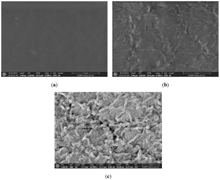 https://cdn.ncbi.nlm.nih.gov/pmc/blobs/4cc3/9959284/d9114b9a4242/polymers-15-00841-g004.jpg