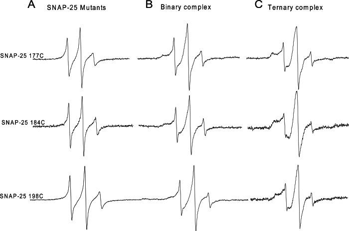 https://cdn.ncbi.nlm.nih.gov/pmc/blobs/4cc7/4493708/385154292b02/peerj-03-1065-g002.jpg