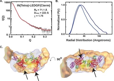 https://cdn.ncbi.nlm.nih.gov/pmc/blobs/4cc9/2888443/2599fc6b97a0/zbc0291021290005.jpg