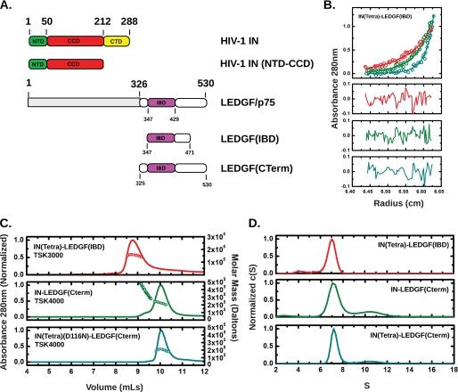 https://cdn.ncbi.nlm.nih.gov/pmc/blobs/4cc9/2888443/ccd29158340a/zbc0291021290001.jpg