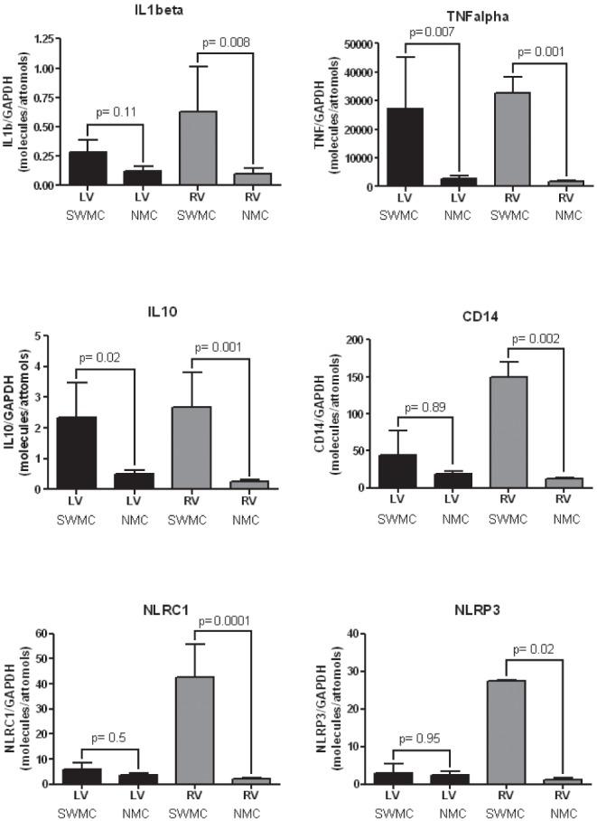https://cdn.ncbi.nlm.nih.gov/pmc/blobs/4cc9/3392908/8c984ba2739a/tox-25-163-g003.jpg