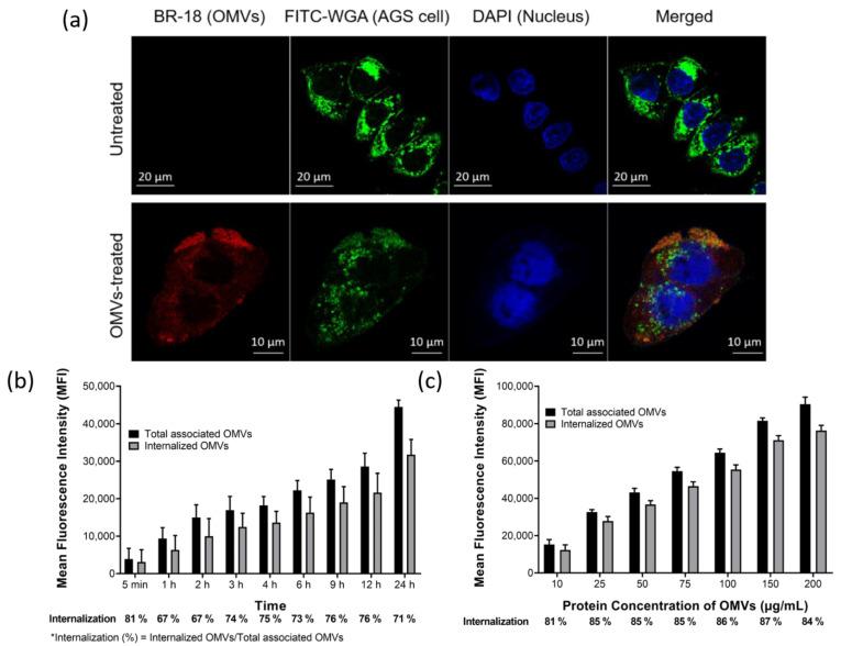 https://cdn.ncbi.nlm.nih.gov/pmc/blobs/4cc9/8069053/ec9aa7dbc59c/ijms-22-03942-g003.jpg