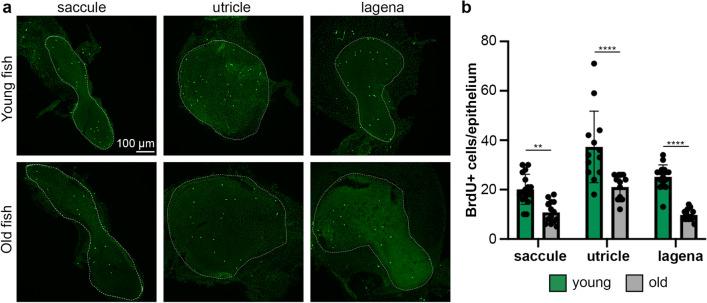 https://cdn.ncbi.nlm.nih.gov/pmc/blobs/4cca/10954678/8bc86f4c6fab/41598_2024_57182_Fig3_HTML.jpg