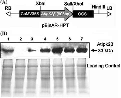 https://cdn.ncbi.nlm.nih.gov/pmc/blobs/4ccc/2238787/06091062ab86/11103_2007_9267_Fig2_HTML.jpg