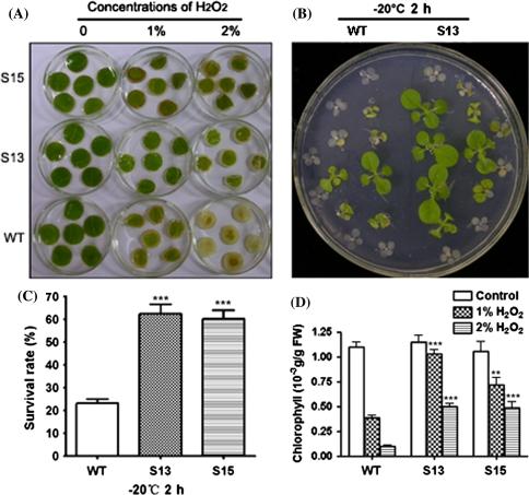 https://cdn.ncbi.nlm.nih.gov/pmc/blobs/4ccc/2238787/9700451766f2/11103_2007_9267_Fig6_HTML.jpg