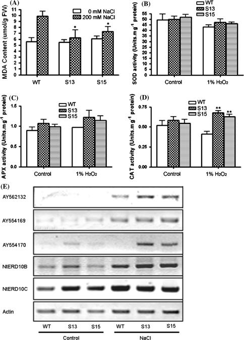 https://cdn.ncbi.nlm.nih.gov/pmc/blobs/4ccc/2238787/fca3ae86461b/11103_2007_9267_Fig7_HTML.jpg