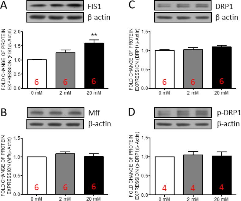 https://cdn.ncbi.nlm.nih.gov/pmc/blobs/4cce/9421924/f8aa1dca886f/gr5.jpg