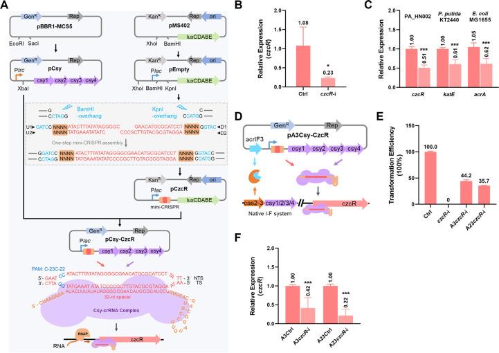 https://cdn.ncbi.nlm.nih.gov/pmc/blobs/4cd2/10581170/e2e3e158ee58/spectrum.01123-23.f002.jpg