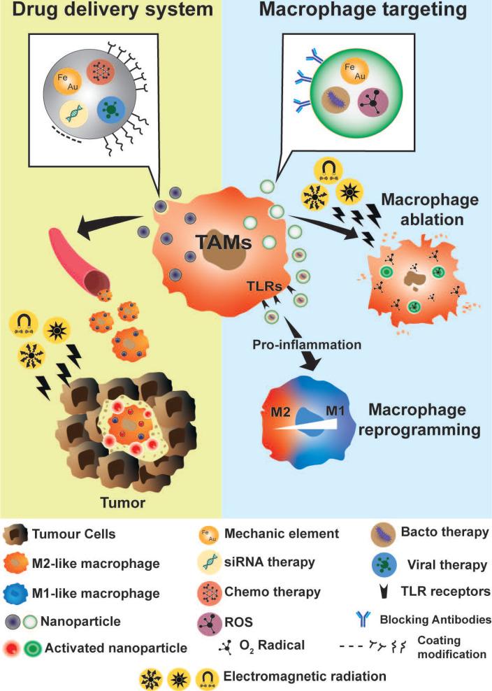 https://cdn.ncbi.nlm.nih.gov/pmc/blobs/4cd2/7778581/029bd5cae938/thnov11p1568g005.jpg