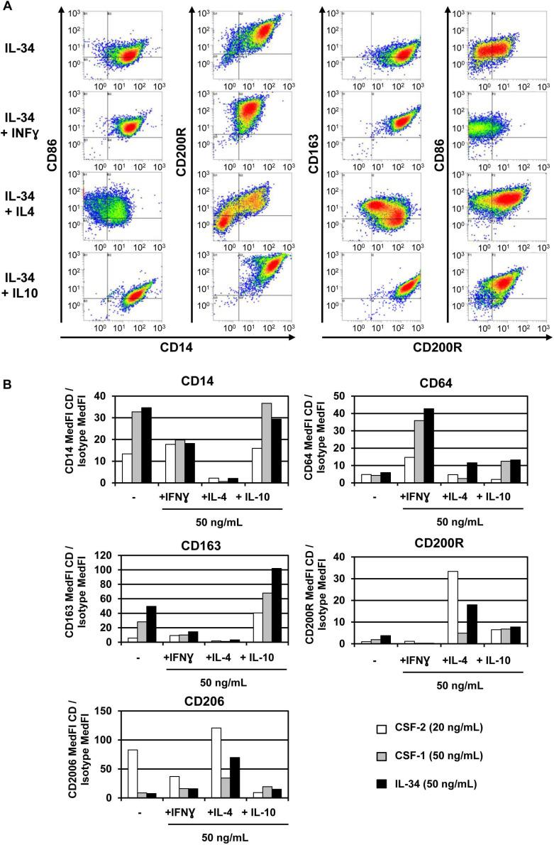 https://cdn.ncbi.nlm.nih.gov/pmc/blobs/4cd2/7778581/64d06b662ec3/thnov11p1568g004.jpg