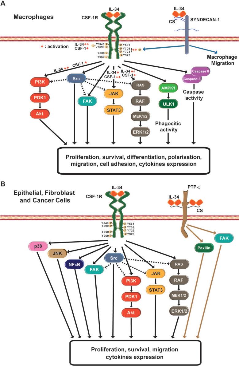 https://cdn.ncbi.nlm.nih.gov/pmc/blobs/4cd2/7778581/8f3e71b4fe90/thnov11p1568g003.jpg