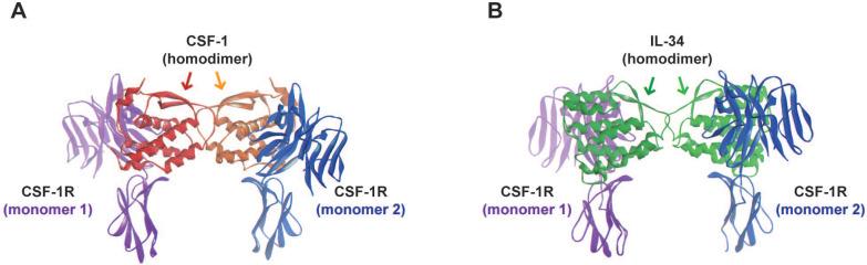 https://cdn.ncbi.nlm.nih.gov/pmc/blobs/4cd2/7778581/c79d1be30e70/thnov11p1568g002.jpg