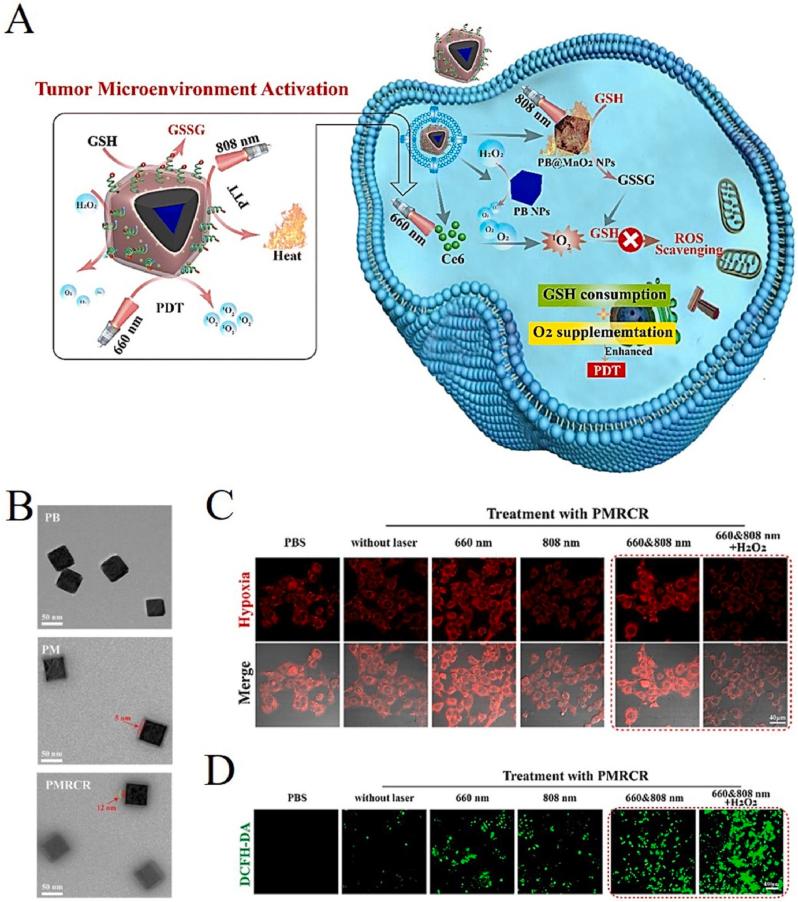 https://cdn.ncbi.nlm.nih.gov/pmc/blobs/4cd4/10767221/71bcc061ad17/gr9.jpg