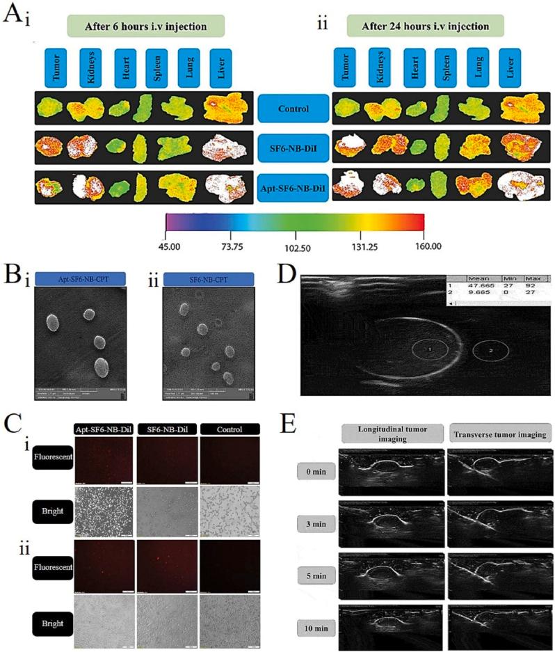 https://cdn.ncbi.nlm.nih.gov/pmc/blobs/4cd4/10767221/7616dfee4d50/gr5.jpg
