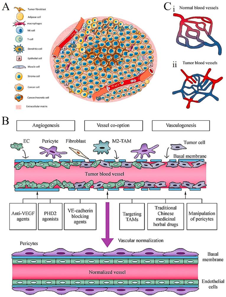https://cdn.ncbi.nlm.nih.gov/pmc/blobs/4cd4/10767221/e633fa5fa539/gr3.jpg