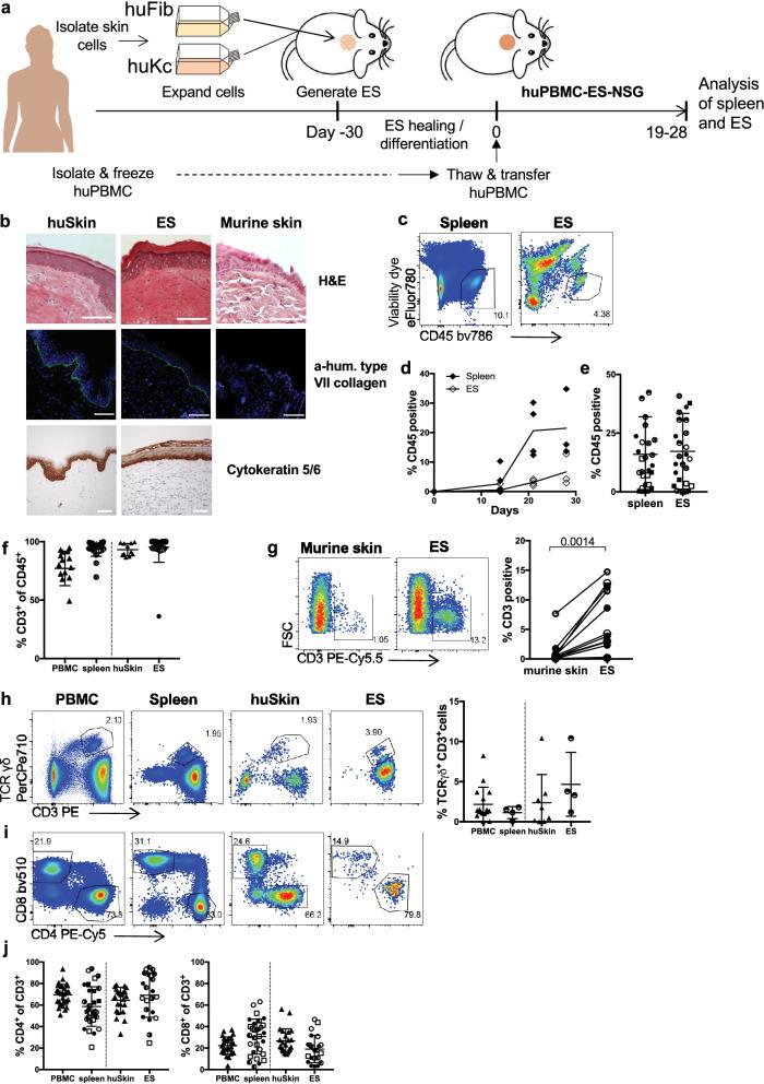https://cdn.ncbi.nlm.nih.gov/pmc/blobs/4cd4/7341892/897508c3cc55/41598_2020_67430_Fig1_HTML.jpg