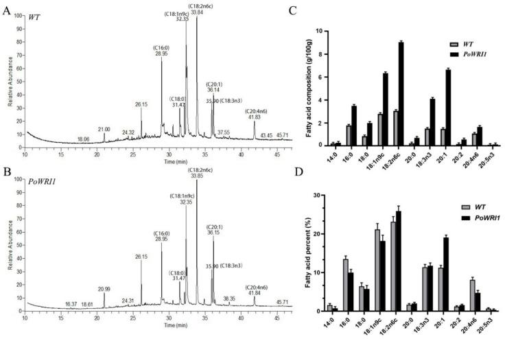https://cdn.ncbi.nlm.nih.gov/pmc/blobs/4cd4/8267616/ad65ede29066/ijms-22-06996-g007.jpg