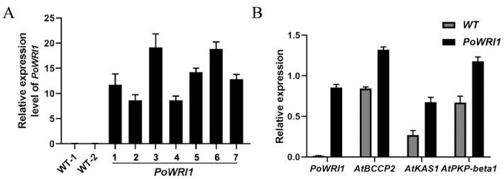 https://cdn.ncbi.nlm.nih.gov/pmc/blobs/4cd4/8267616/d0106884ed84/ijms-22-06996-g006.jpg