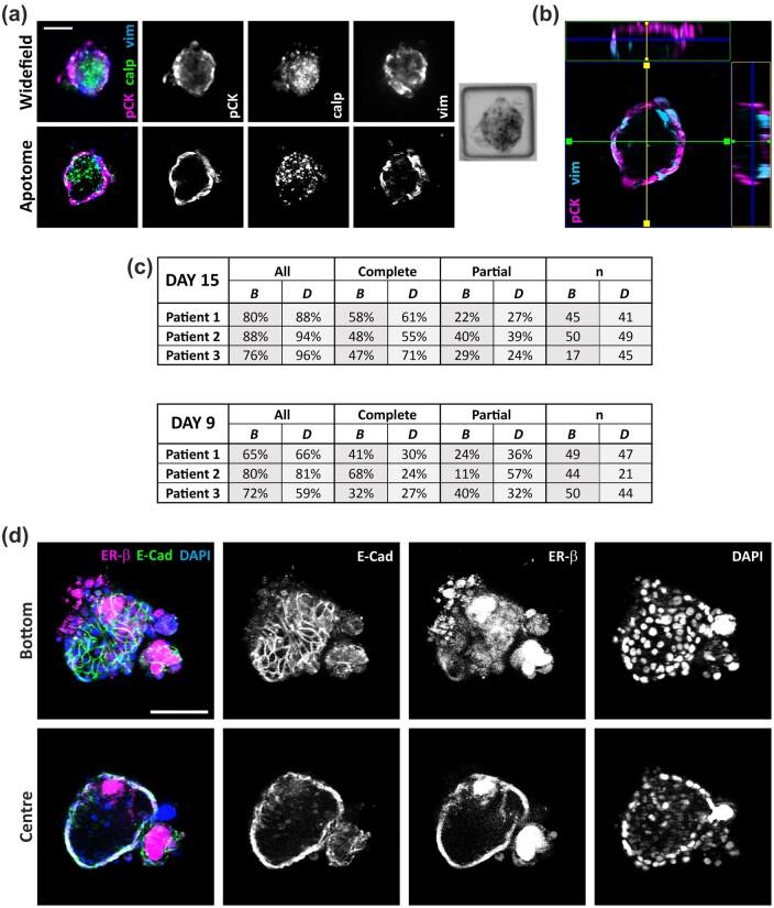 https://cdn.ncbi.nlm.nih.gov/pmc/blobs/4cd5/11532614/02721b276782/deae214f4.jpg